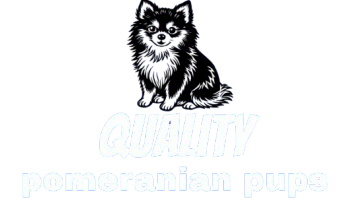 qualitypomeranianpupsforsale